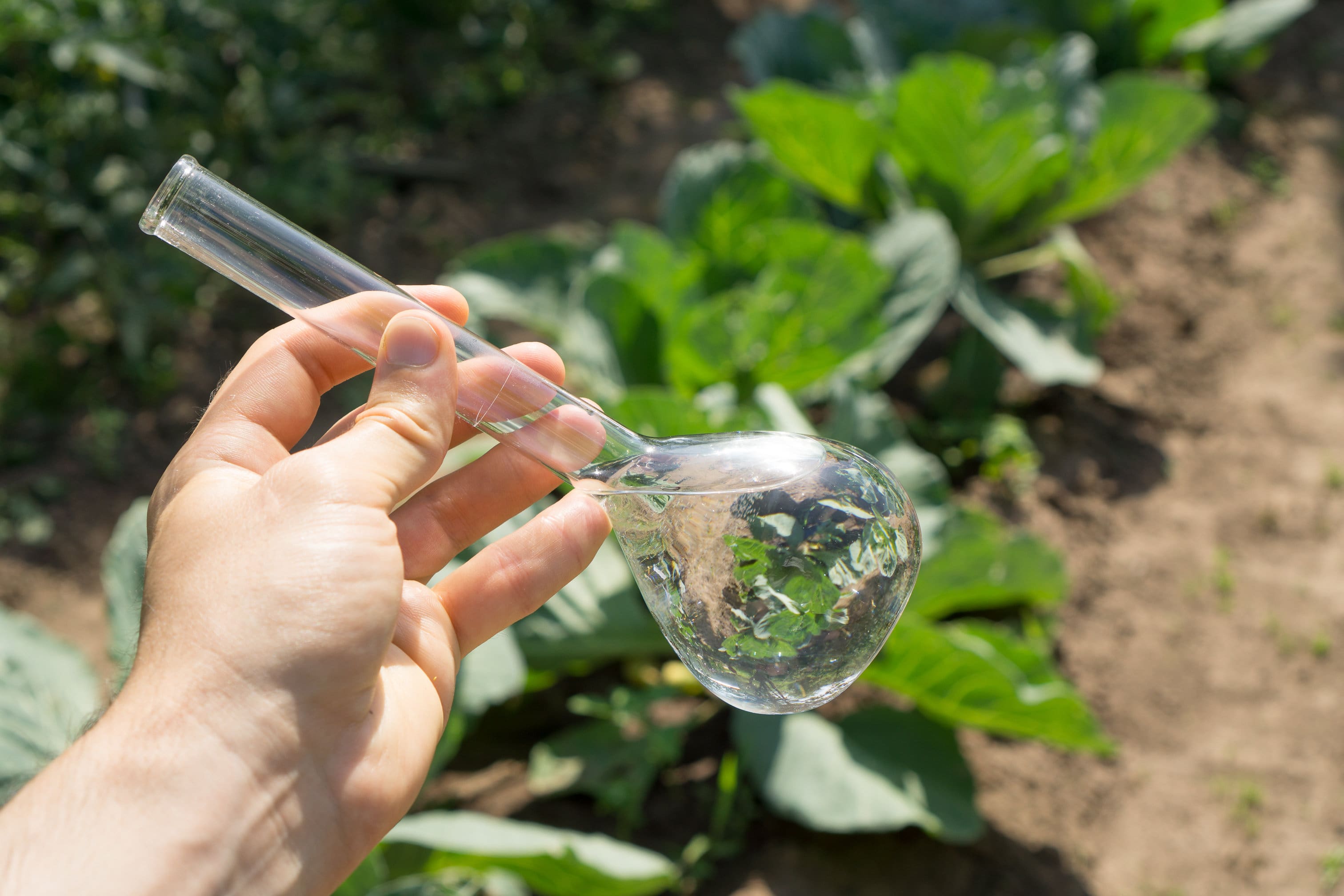 Cam verde pubblico Fertilizzante in vetreria da laboratorio
