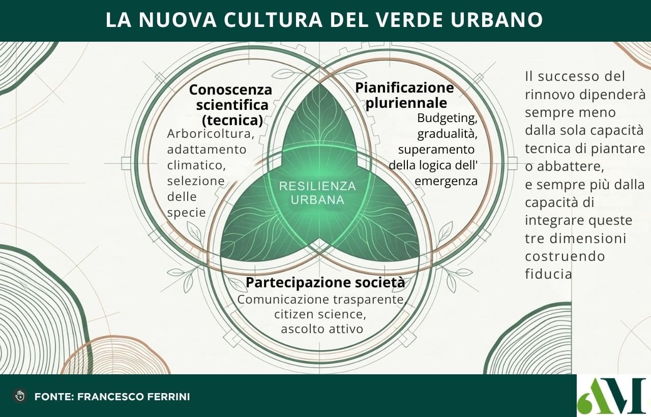 Rinnovare la alberature: rappresentazione grafica, nuova cultura del verde urbano