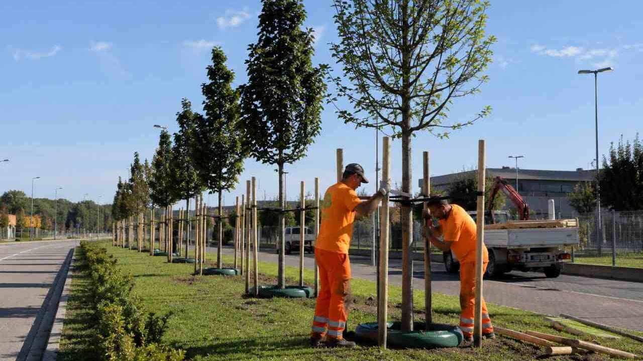 Nuovo impianto con Treegator (TM) circolari
