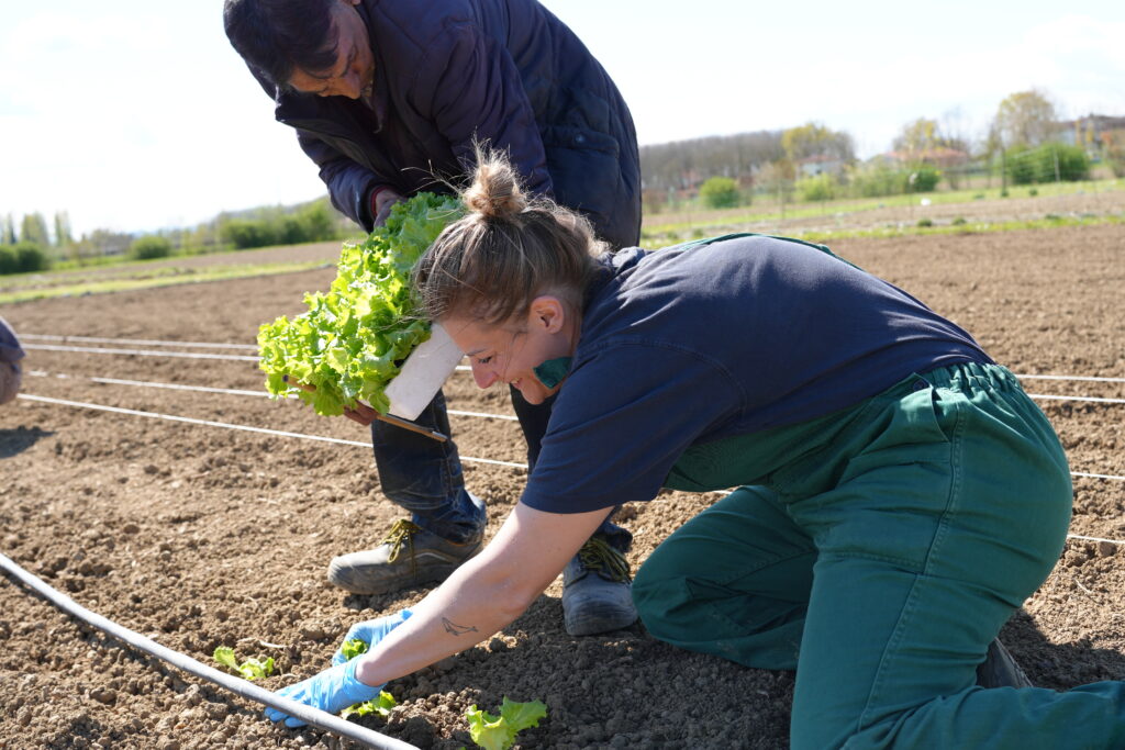 lavoratori del verde cooperativa sociale