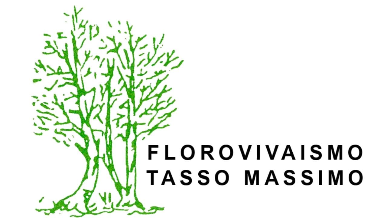 19 Tasso Massimo Tasso Massimo