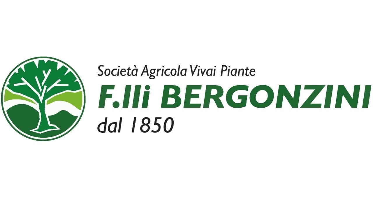 30 Bergonzini Bergonzoni