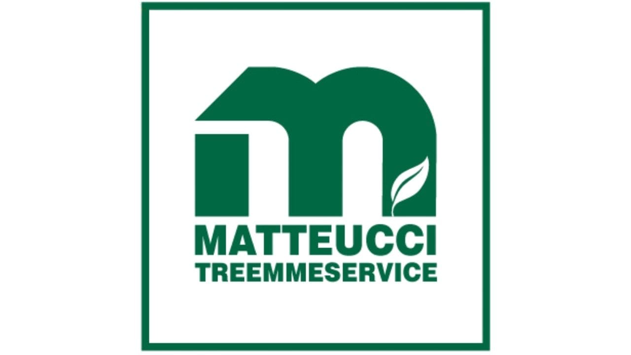 Matteucci