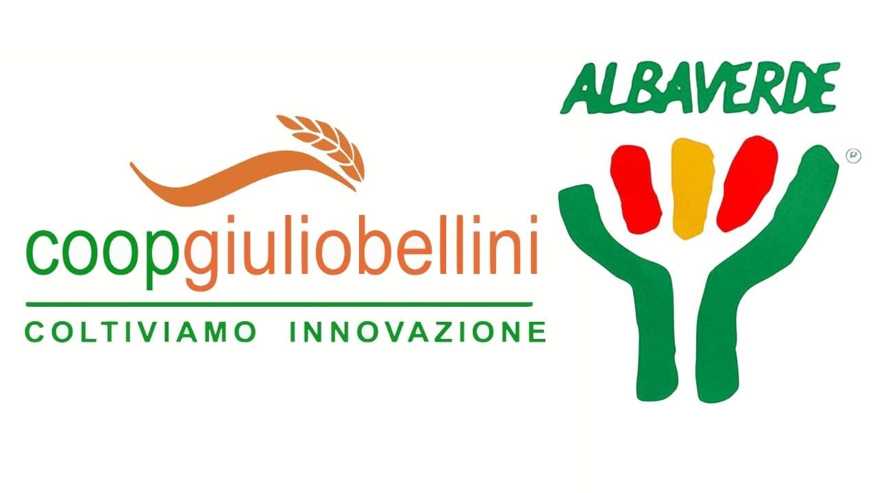 Coop GIulio Bellini e Albaverde