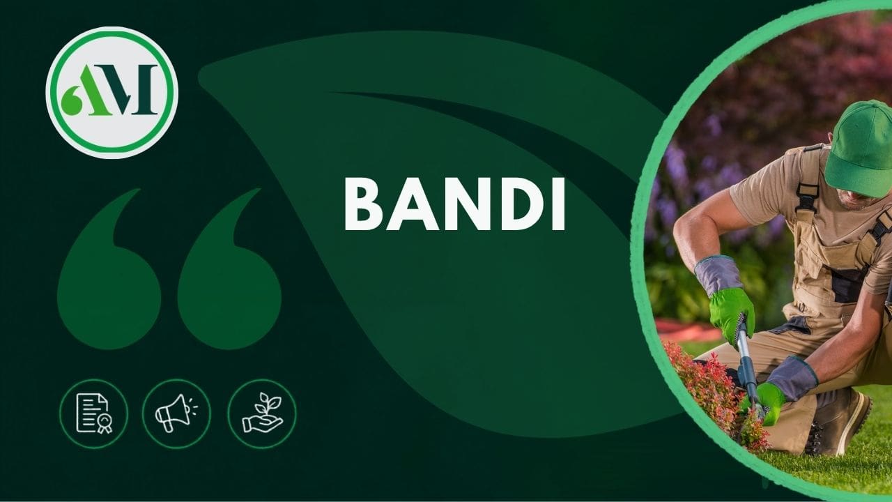 Cover Bandi Cover Bandi