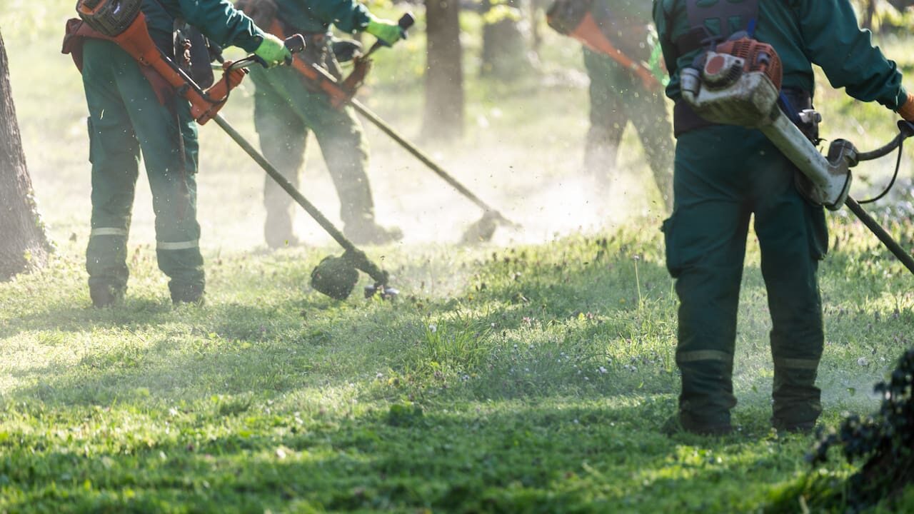 capitolato lavori assoverde, operatori del verde al lavoro