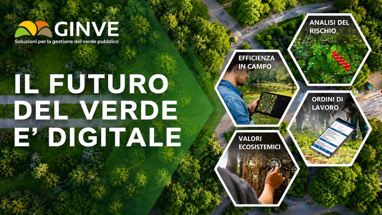 Ginve piattaforma digitale