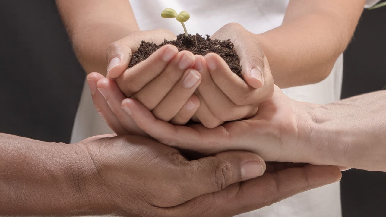 proposte Assoverde 2026 formazione sicurezza e innovazione nella proposta di Assoverde