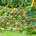 rifiuti e sfalci vegetali