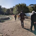 cantiere di un parco urbano