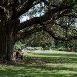Un uomo all'ombra sotto un grande albero in un parco urbano