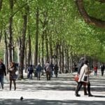 piani urbani del verde, linee guida italiane