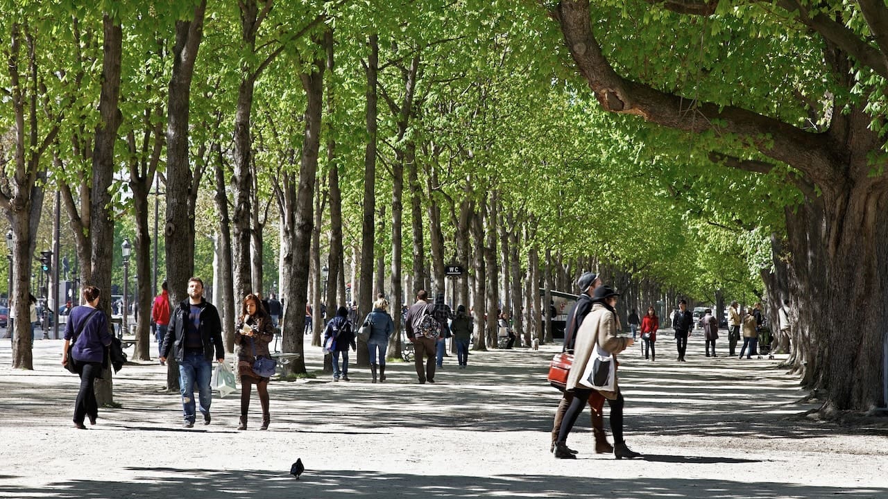 piani urbani del verde piani urbani del verde, linee guida italiane